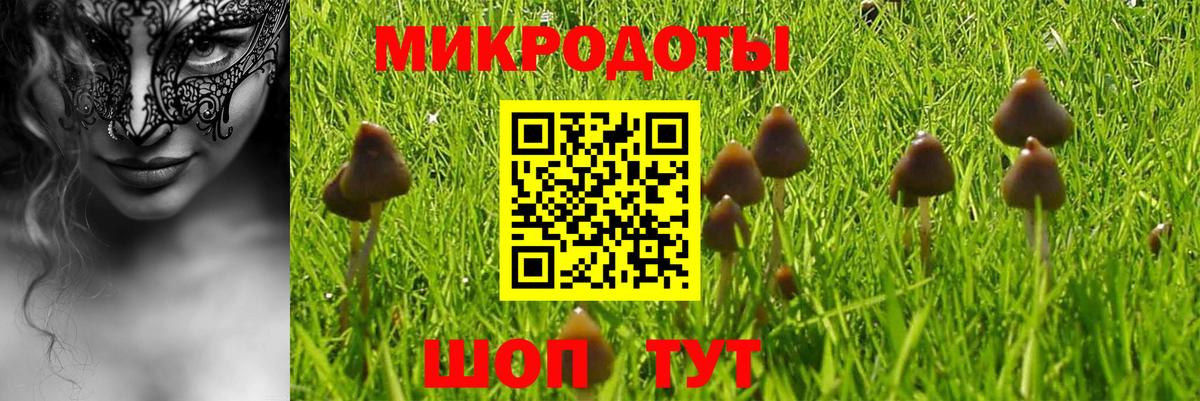 Галлюциногенные грибы Psilocybine cubensis  Псилоцибиновые грибы MAGIC MUSHROOMS  купить  цена  Вход с VPN  Георгиевск 