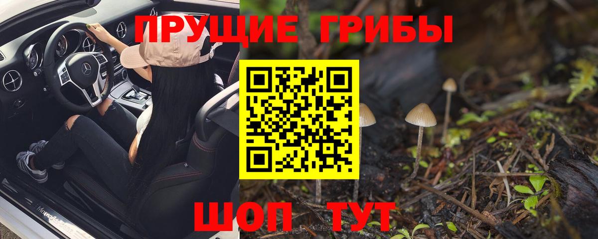 Псилоцибиновые грибы Magic Shrooms Георгиевск